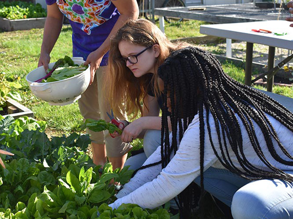 adultos e crianças em uma horta