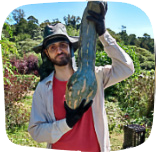 Guilherme Reis Ranieri