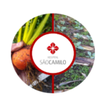 São Camilo